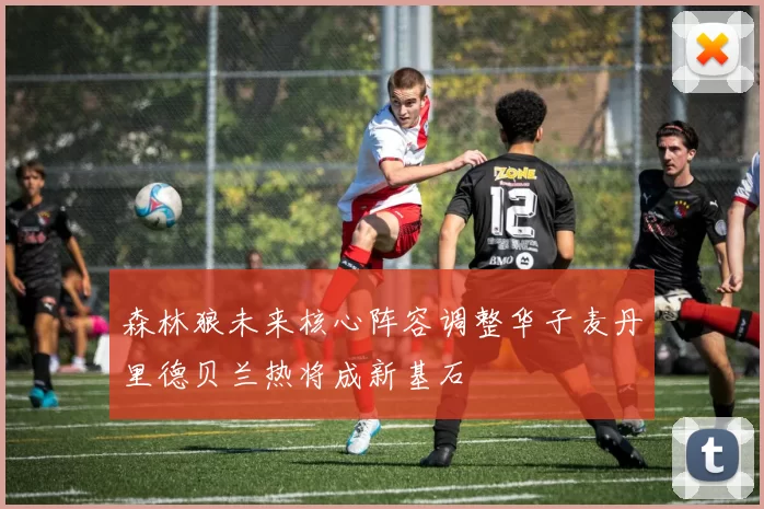 森林狼未来核心阵容调整华子麦丹里德贝兰热将成新基石