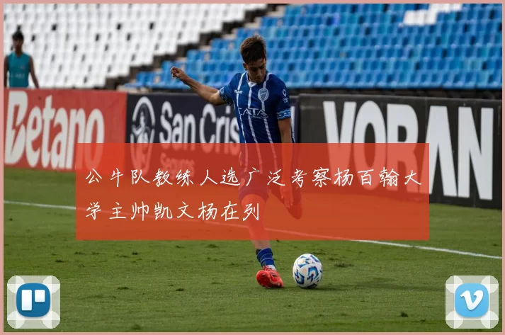 公牛队教练人选广泛考察杨百翰大学主帅凯文杨在列